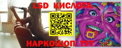 молекула духа Каменск-Шахтинский