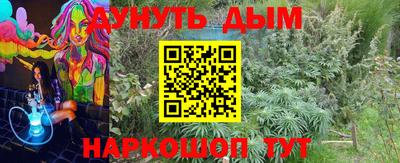 молекула духа Каменск-Шахтинский