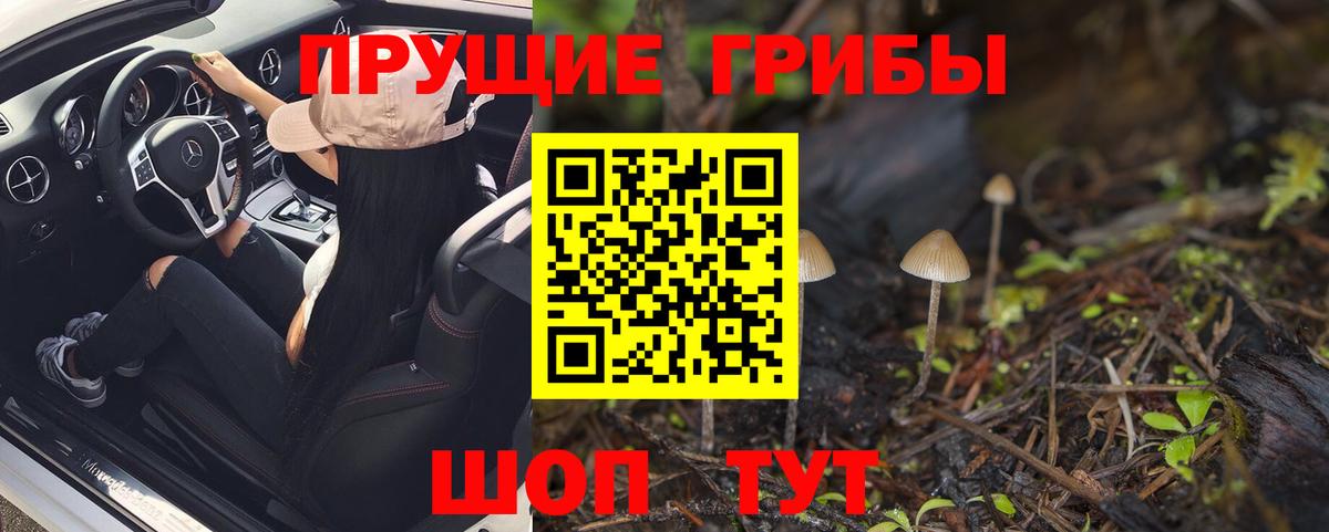 Ялуторовск  купить наркотик  Вход с VPN  Псилоцибиновые грибы Magic Shrooms 
